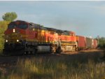 BNSF 4904 East